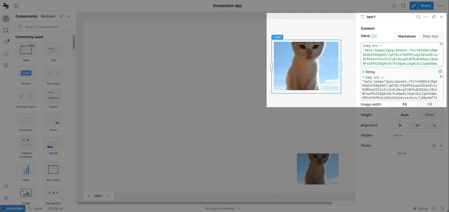 Using an image tag to display an image in a Text component