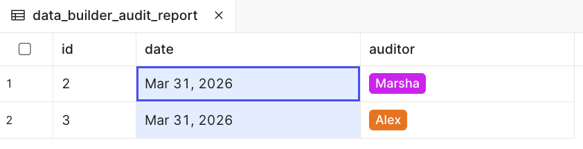 data_builder_audit_report table structure