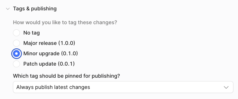Tags and publishing options